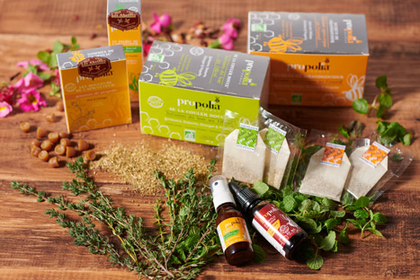 Propolis